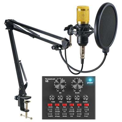 BM800 Professional Condenser Microphone Kit