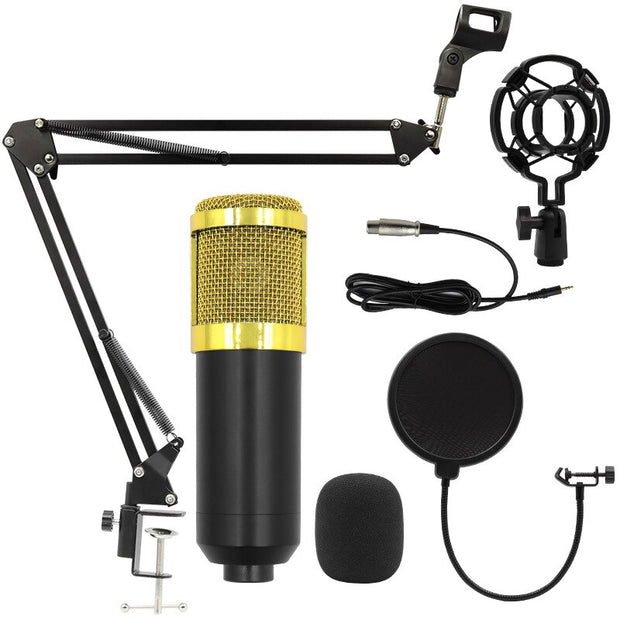 BM800 Professional Condenser Microphone Kit