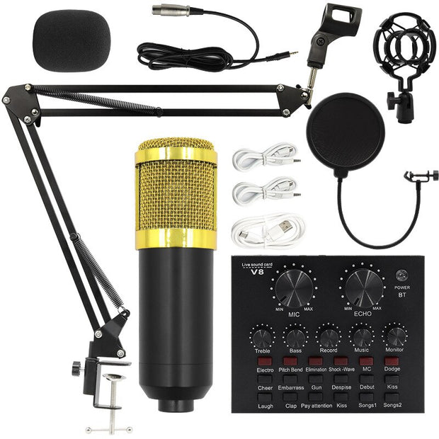 BM800 Professional Condenser Microphone Kit