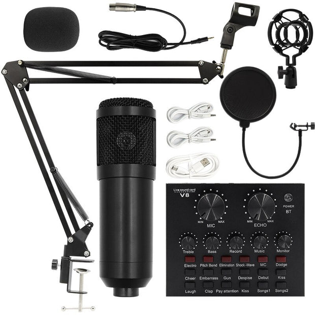 BM800 Professional Condenser Microphone Kit